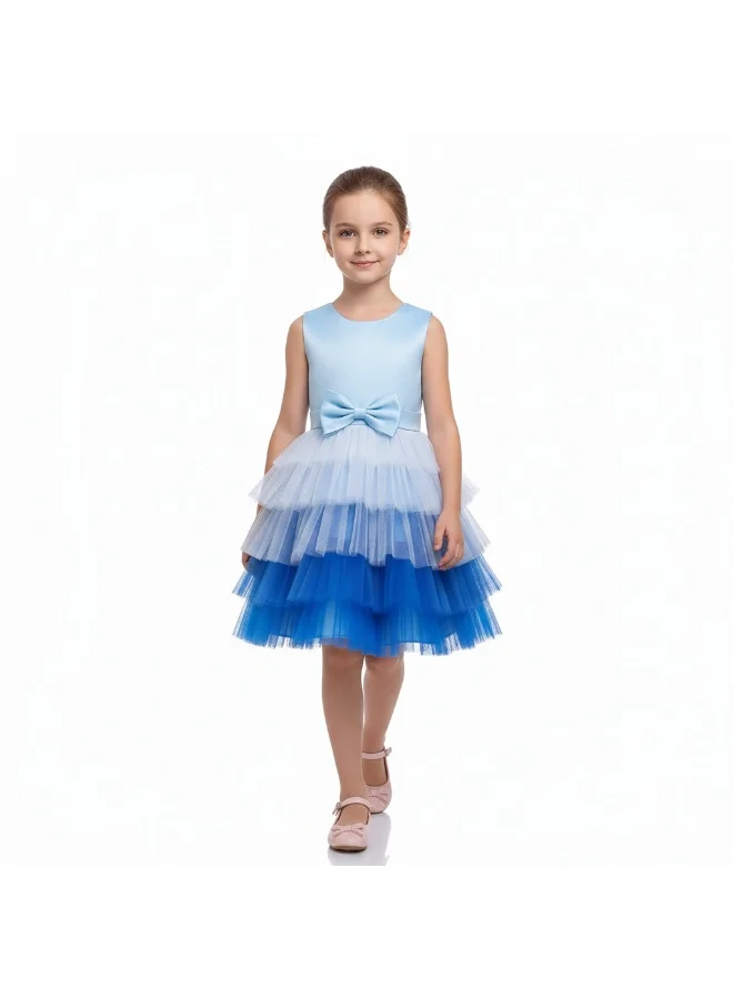D'Daniela Ombre Tulle Dress